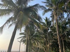 -海口喜来登酒店