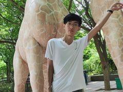 -辛玛王国游乐园