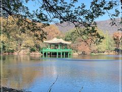 -灵谷景区