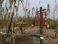 -大理地热国