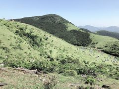 -大姆山草场