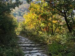 -阳台山自然风景区
