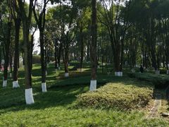 -重庆市江北嘴中央商务区中央公园