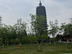 -西海子公园