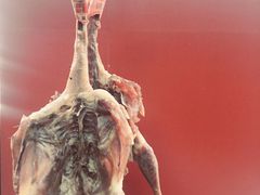 -万隆火腿庄