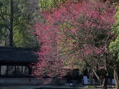 -兰亭风景区