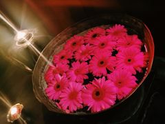 -花马天堂云南餐厅 Lost Heaven(高邮路店)