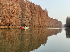 -上海海湾国家森林公园