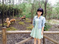 -溱湖国家湿地公园