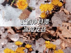 -长春净月潭风景名胜区