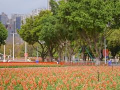 -海心沙亚运公园