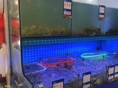 -江南村海鲜馆(洞头店)