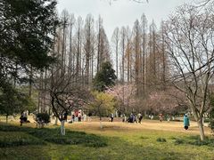 -杭州植物园