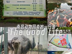 -南昌动物园