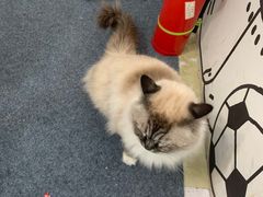 -剧狐剧本杀·月球探案馆(人民广场1号店)