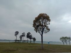 -漕湖湿地公园
