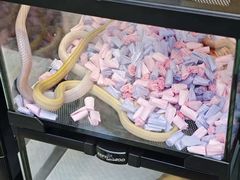 -上海长风大悦城