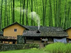 -杭州植物园