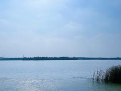 -丁香湖公园