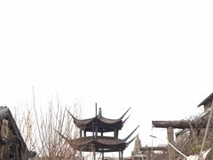 -呀路古热带植物园