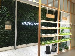-悦诗风吟innisfree