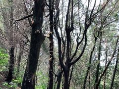 -四门塔风景区