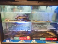 -鱼酷活鱼烤鱼(南京水游城店)