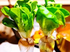 -罗勒家·养生火锅· Bistro(大望路店)