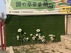 -甜心庄园·甜心草莓采摘园(西青中北店)