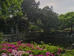 -柳侯公园
