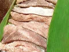 -王家渡火锅(金宝汇店)