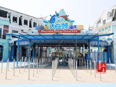 -芜湖新华联大白鲸海洋公园