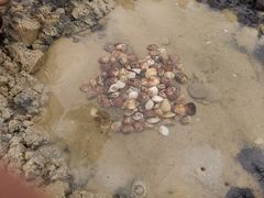 -北海金海湾红树林生态旅游区