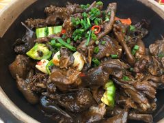 -龙小海荆沙鸽子店(瑞安街店)
