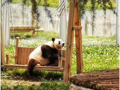 -西安秦岭野生动物园