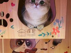 -袖虎·猫馆(体育西路店)