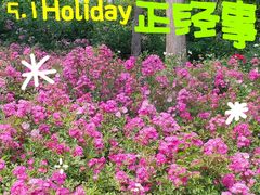-尚贤河湿地