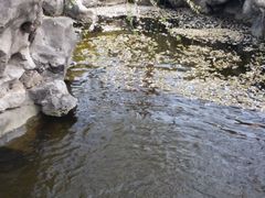 -君庭中餐厅(友谊宾馆店)
