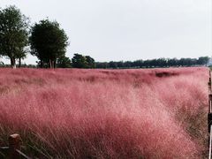 -汉长安城未央宫国家考古遗址公园