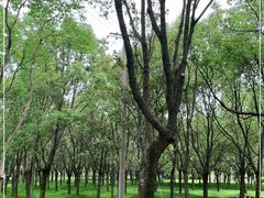 -嘉北郊野公园