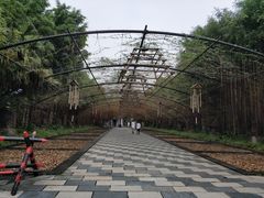 -森波拉火山温泉