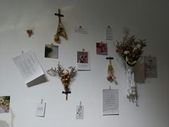 -HALF ORANGE 半个橙子