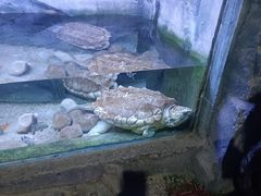 -蓬莱欧乐堡海洋极地世界