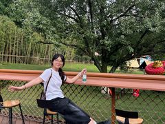 -合肥野生动物园
