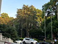 -杭州香格里拉·香宫中餐厅