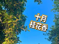 -南园(太仓市)