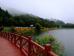 -广州市石门国家森林公园