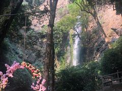 -莫里热带雨林景区