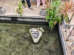 -嘉缤苑