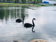 -长春市南湖公园